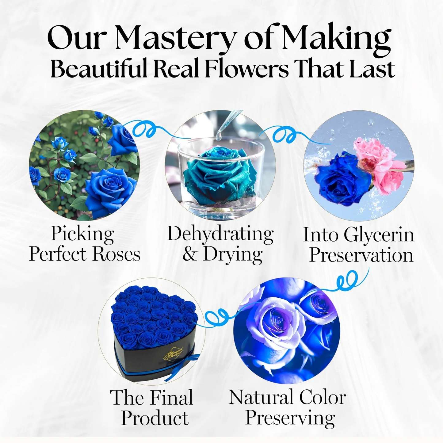 Immortal Love Black Heart | 27 Roses