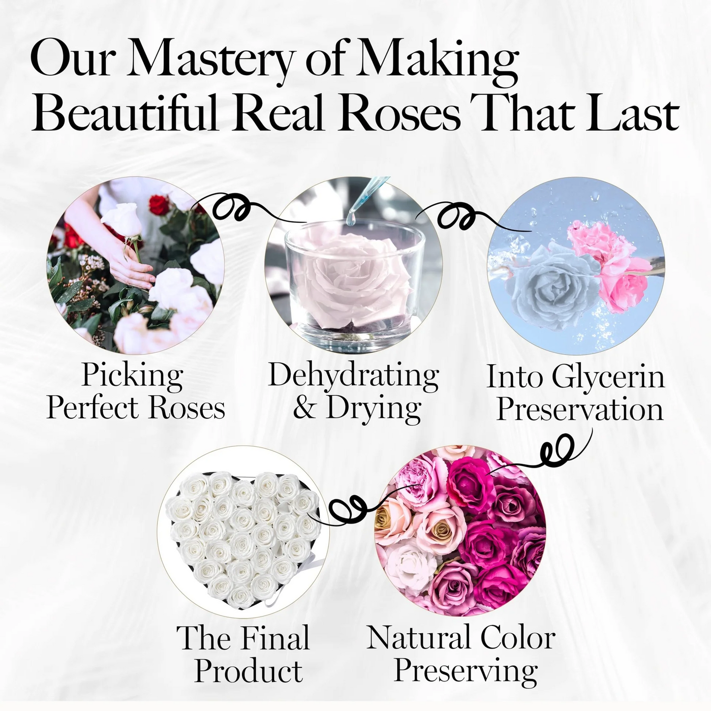 Immortal Love Black Heart | 27 Roses