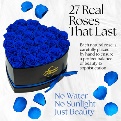 Immortal Love Black Heart | 27 Roses