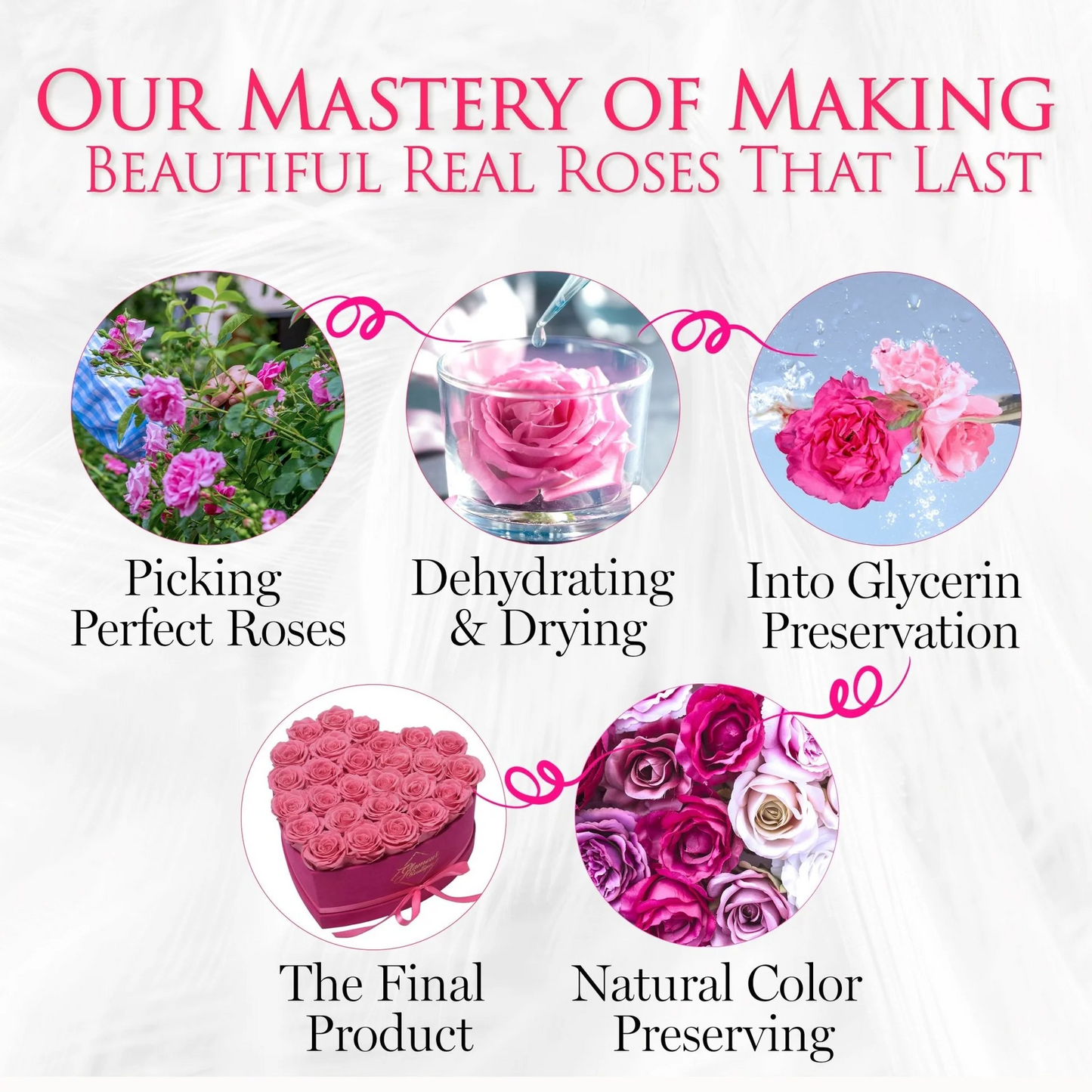 Immortal Love Black Heart | 27 Roses