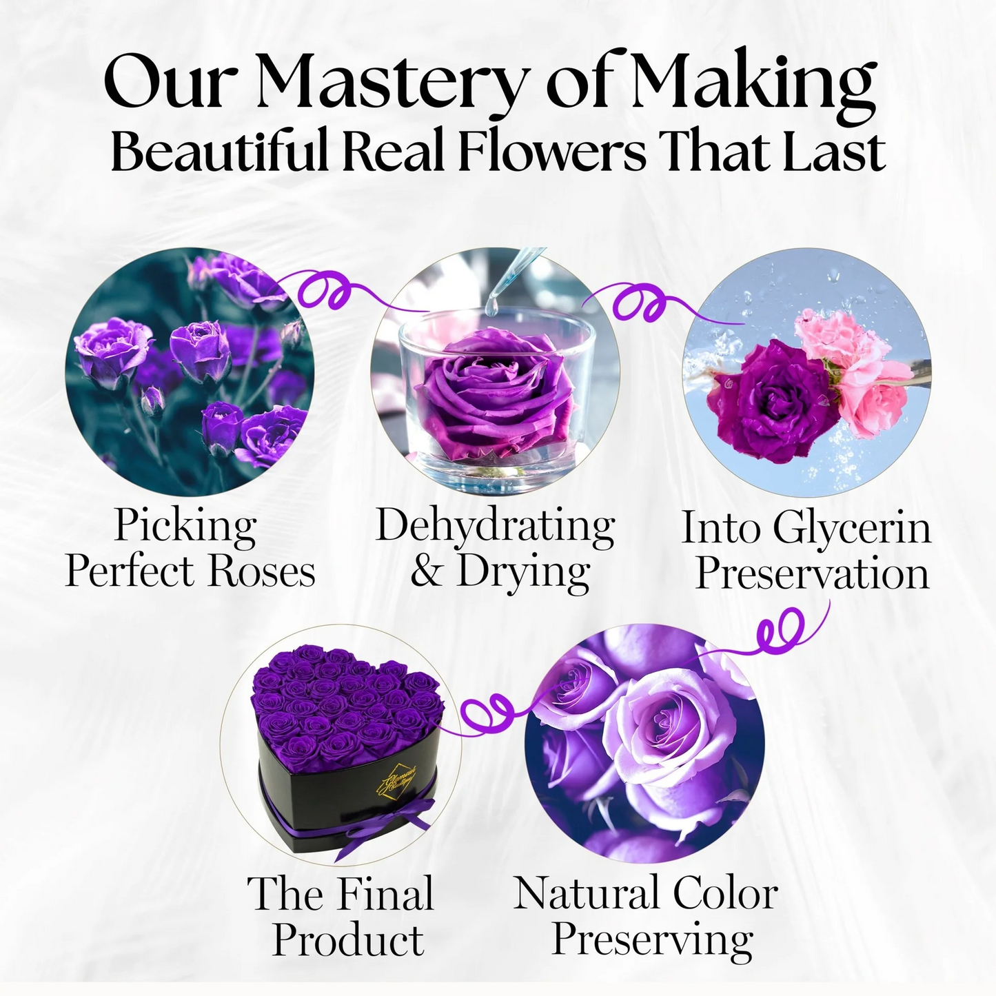 Immortal Love Black Heart | 27 Roses